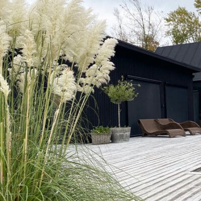 Fasad i svart trä med screenmarkiser som solskydd