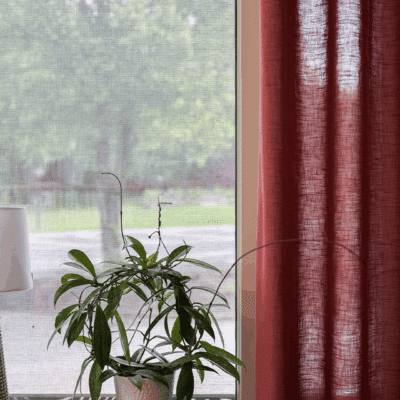 Fönster med rullgardin och röda gardiner bredvid en grön växt i kruka.