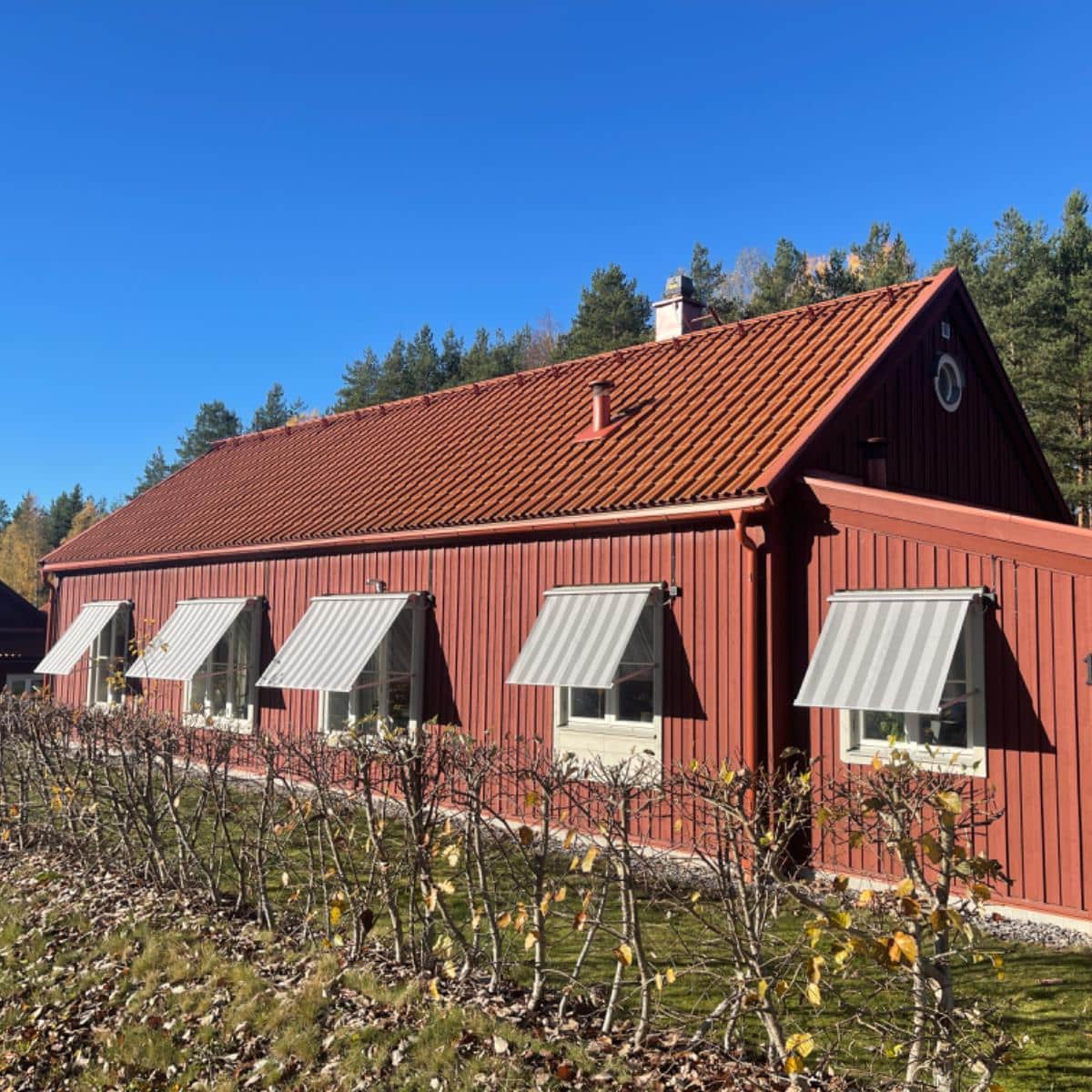 Randiga fönstermarkiser på rött trähus.